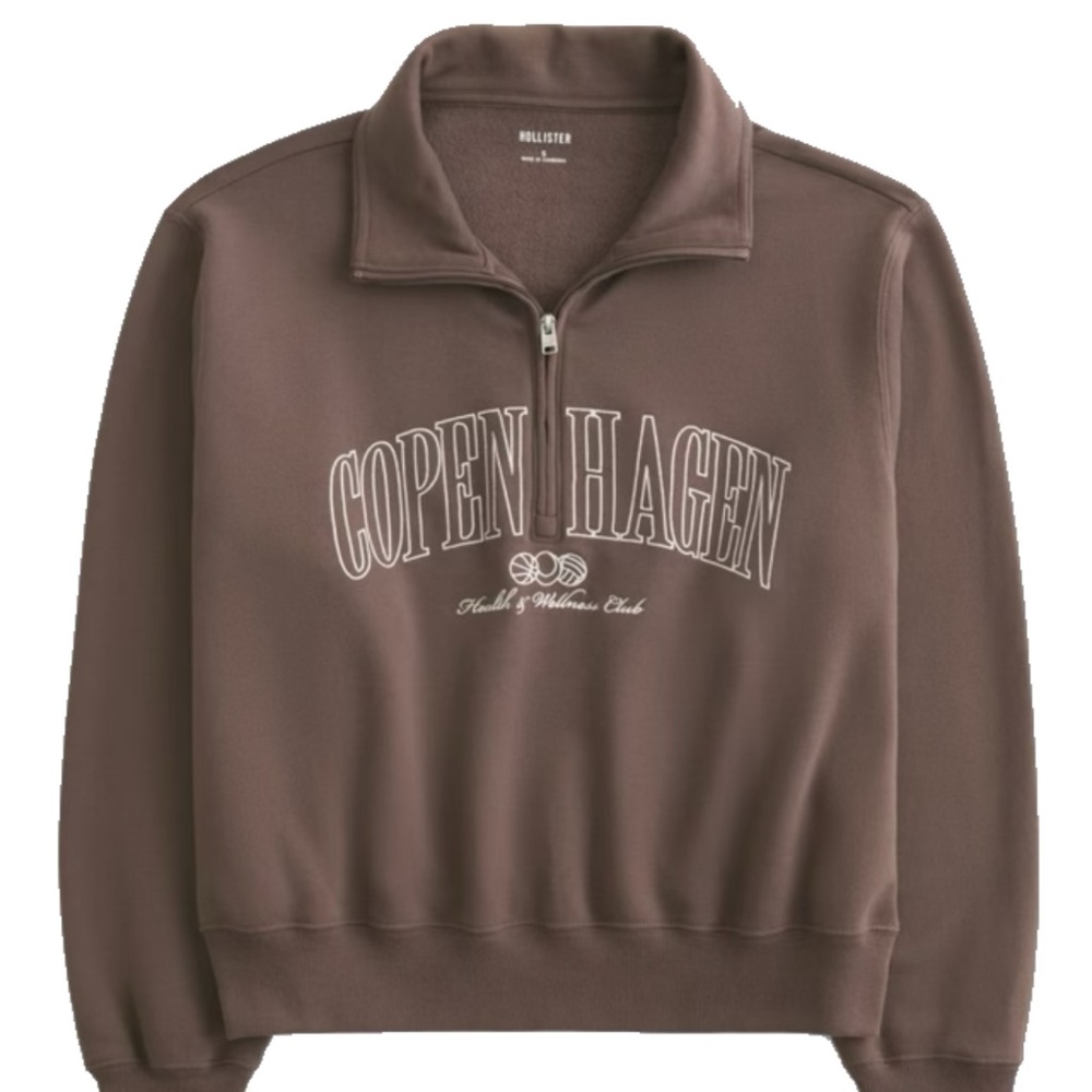 Hollister Brown Zip-Up Sweater